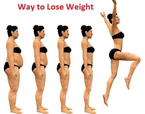 Way to Lose Weight