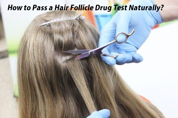 How to Pass a Hair Follicle Drug Test Naturally