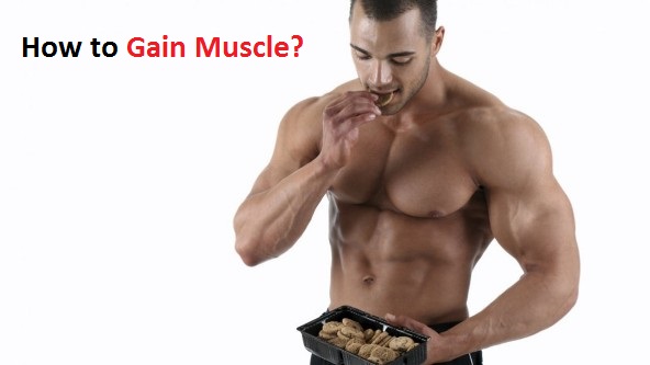 how to gain muscle