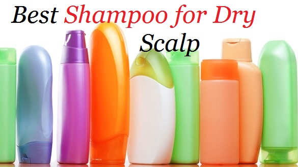 best shampoo for dry scalp