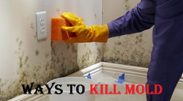 How To Kill Mold   Kill Mold 599x330 